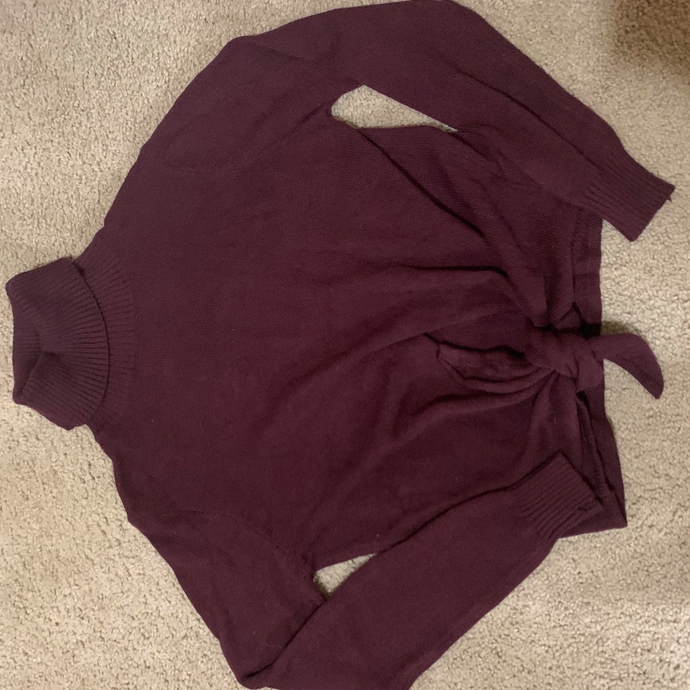 Maroon Turtleneck Sweater